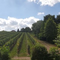 Tolle Spaziergänge bieten sich an...