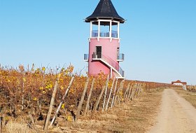 Fewo Breivogel Burgunderturm © Nicole Breivogel