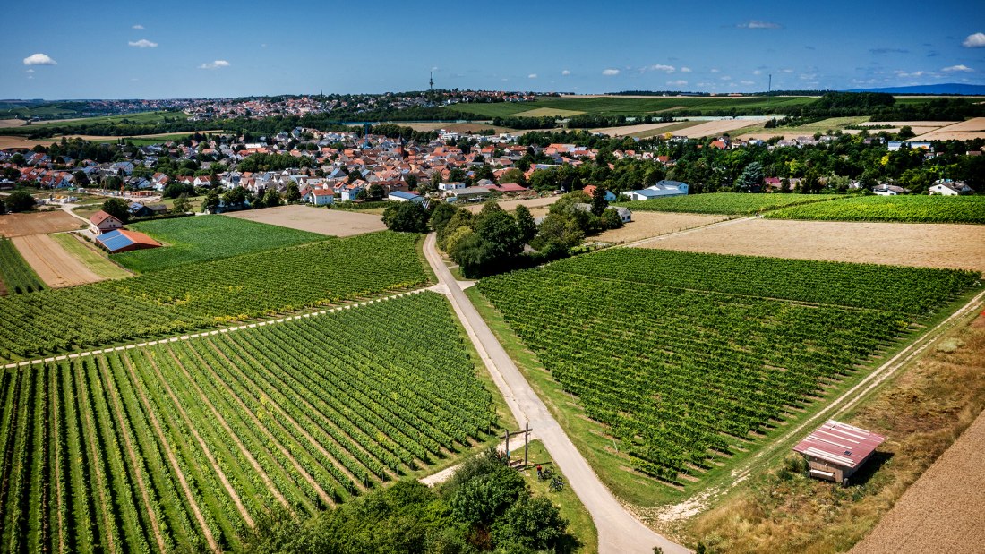 Klein-Winternheimer Geiersh&ouml;lle