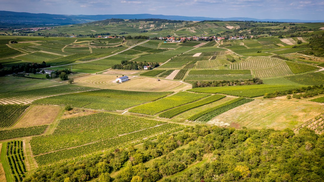 Horrweiler Gew&uuml;rzg&auml;rtchen