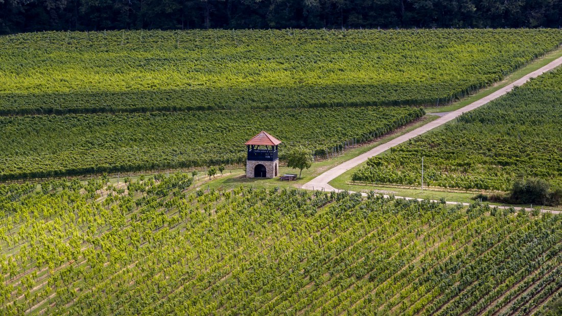 Bornheimer Hähnchen