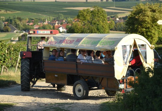 Weinbergsfahrt, &copy; Carsten Costard