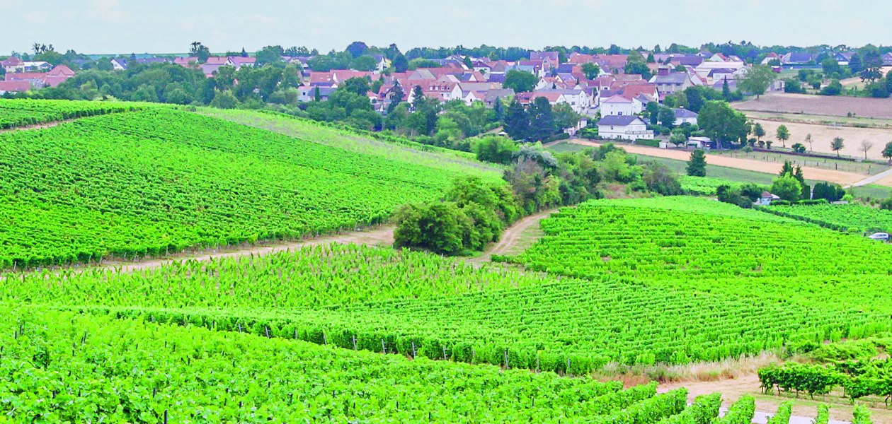 Weingut Seck_Schuetzenhuette, &copy; Axel Seck