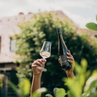 JUK_druck_24_07_kulinarik_wein_franz_wuestenberg_1