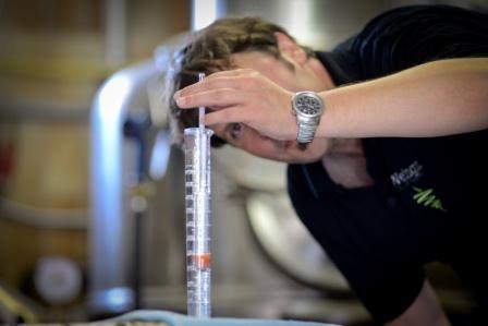 Weingut & Brennerei Otto Nehrba&szlig;_Keller, &copy; Weingut & Brennerei Otto Nehrba&szlig;