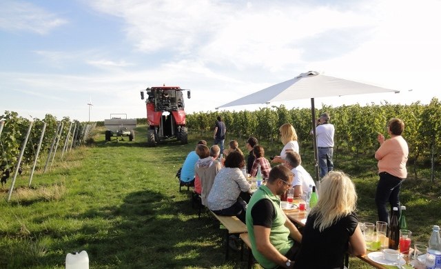 Weidenberger Hof_Weinberg, &copy; Weidenberger Hof