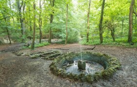 Springbrunnen nahe der Neubornquelle © Dominik Ketz