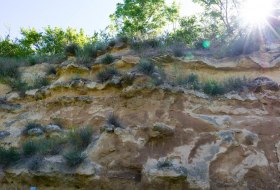 Trift Weinheim © Joachim Schmidt Intensive Senses