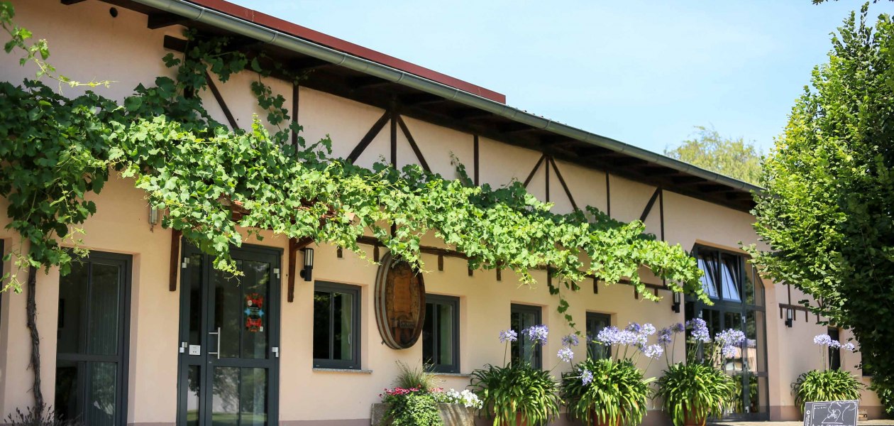Weingut Dieter Michel_Au&szlig;enansicht 2, &copy; Weingut Dieter Michel