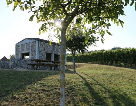 Gau-Weinheim, Tumrwinzerweg