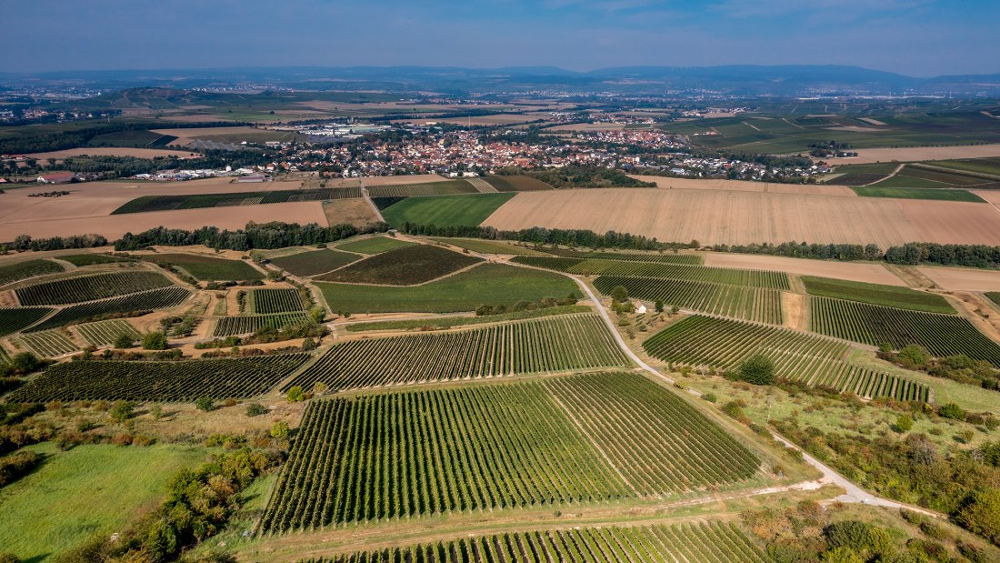 Sprendlinger Wi&szlig;berg