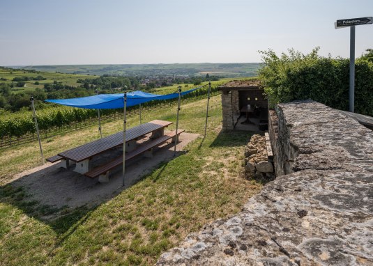 Tisch des Weins Shwabenheim © Verbandsgemeinde Gau-Algesheim