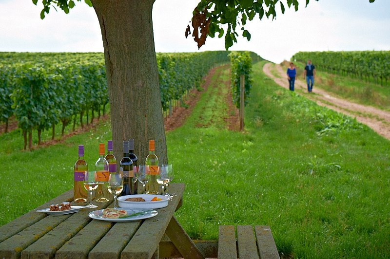 Weingut Schoeneck-Schnell_Gedeckter Tisch, &copy; Weingut Schoeneck-Schnell