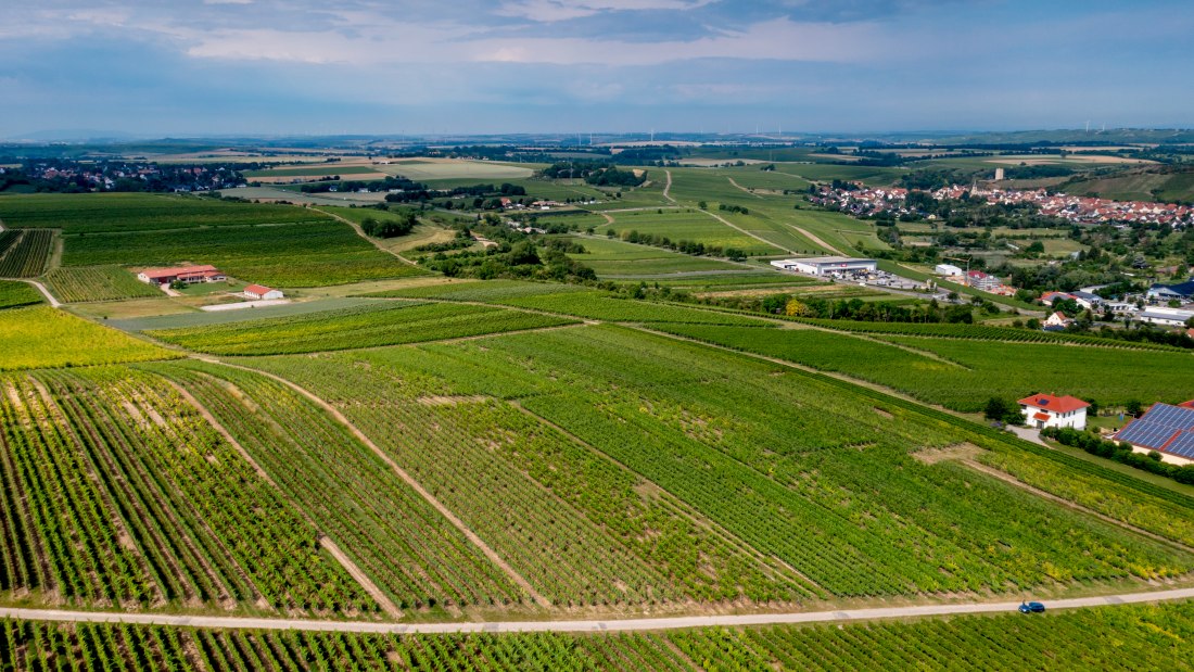 Niersteiner Parterberg-DJI_0227-173, &copy; Torsten Silz