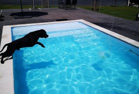 Ferienwohnung Haus Artus Pool mit Hund