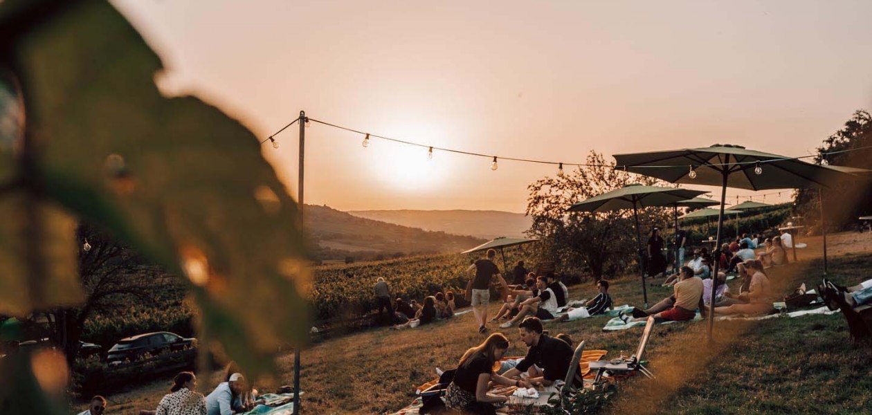 Weingut Singer-Fischer_Wiese, &copy; Max Singer-Fischer