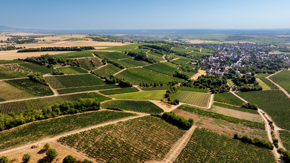 Harxheimer Schlo&szlig;berg-015 Kopie, &copy; Torsten Silz