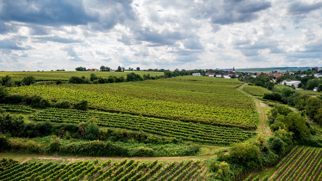 Bechtheimer Stein