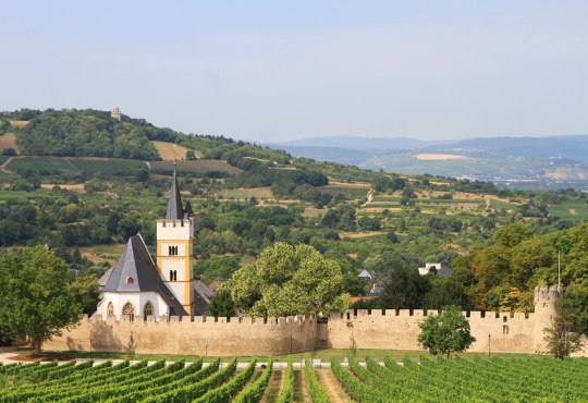 Ingelheim, &copy; Stadt Ingelheim