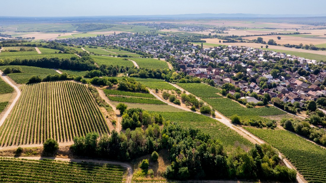 Harxheimer Schlo&szlig;berg-036 Kopie, &copy; Torsten Silz