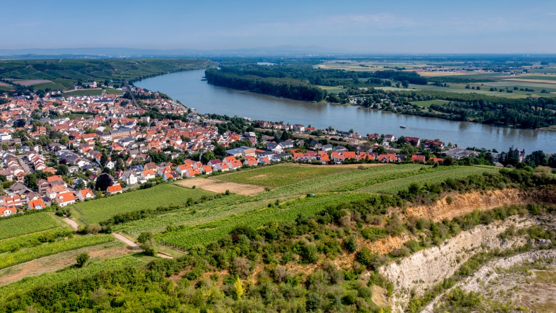 Niersteiner Parterberg-DJI_0229-171, &copy; Torsten Silz