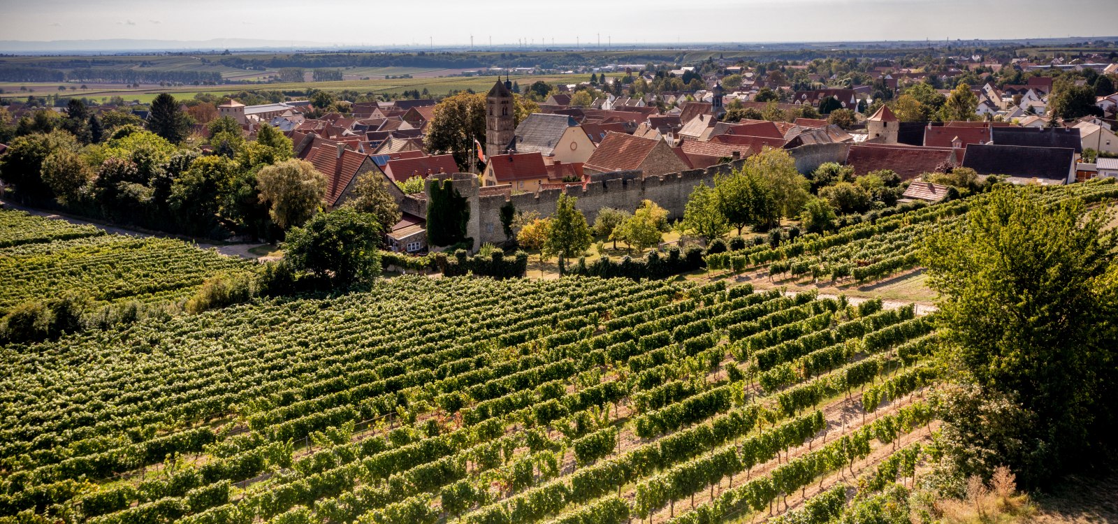 Dahlsheimer B&uuml;rgel, &copy; Torsten Silz