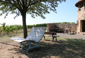 Spiesheimer Weinwanderweg