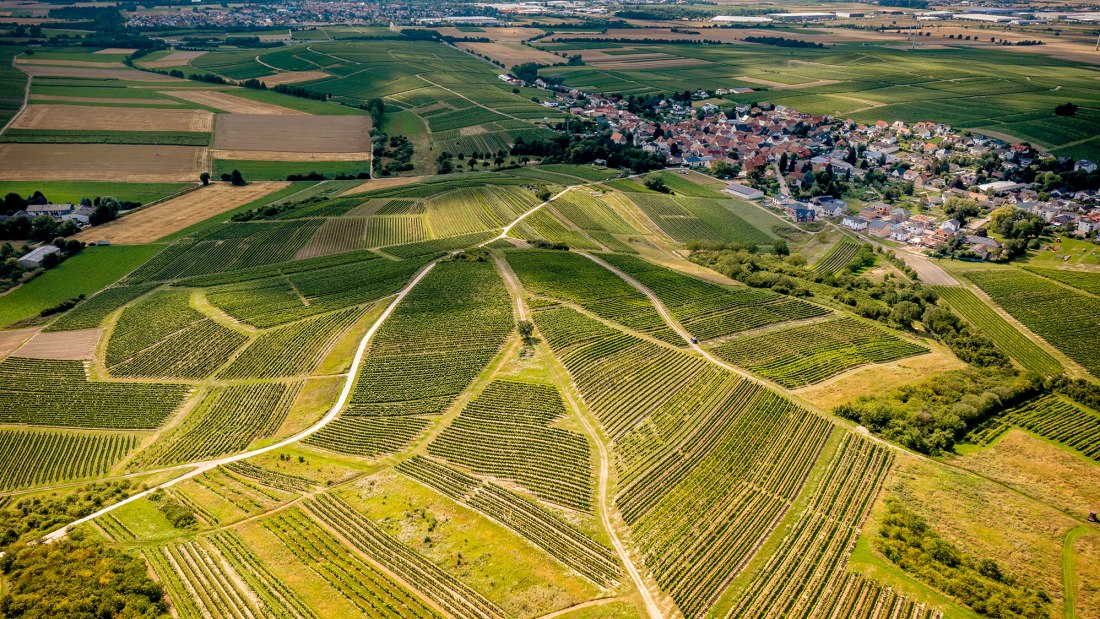 Horrweiler Gew&uuml;rzg&auml;rtchen