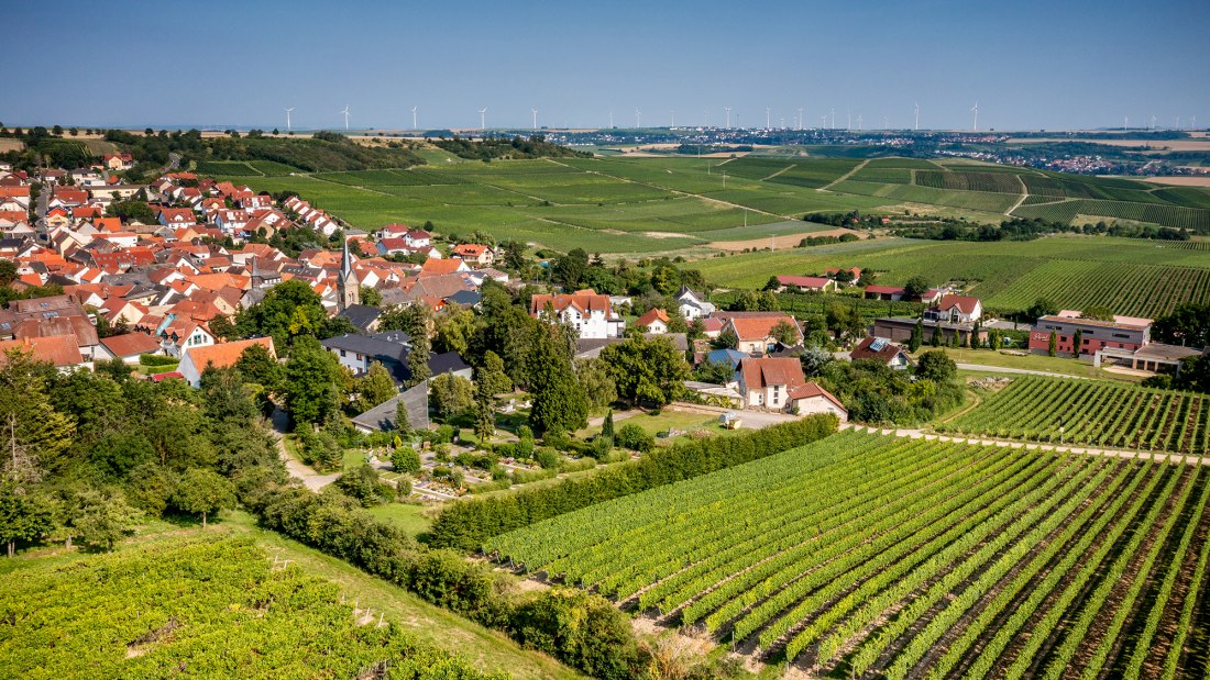 Vendersheimer Sonnenberg