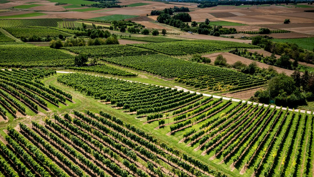 Klein-Winternheimer Geiersh&ouml;lle