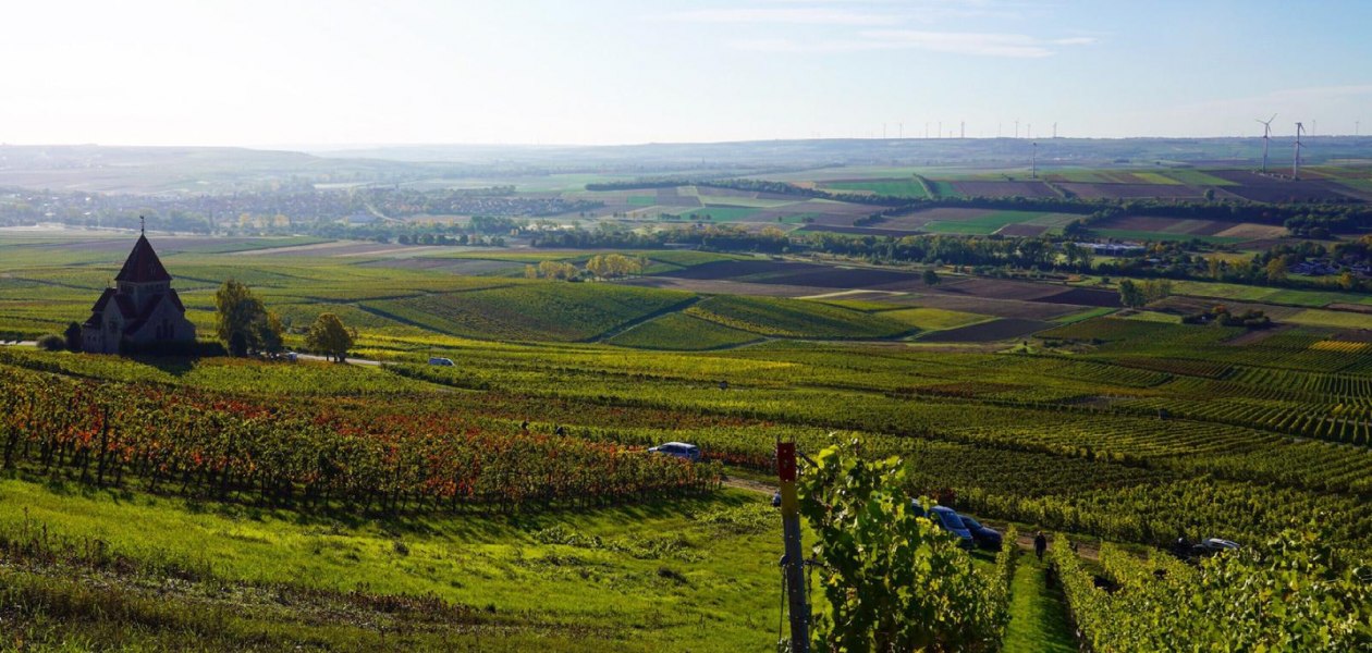 Weingut Schnabel_Weinberge, &copy; Weingut Schnabel