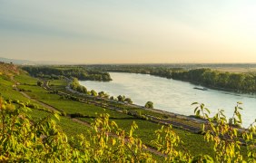 Roter Hang, Blick Richtung Nackenheim © Dominik Ketz