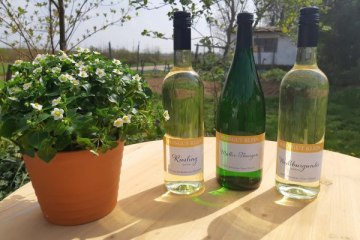 Weingut Klein_Weinflaschen, &copy; Weingut Klein