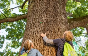 Kinder mit Hiwwelsack © Rheinhessen-Touristik