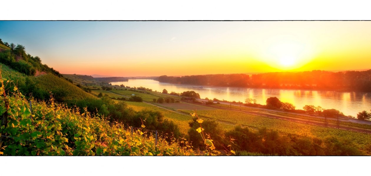 Weingut Heise am Kranzberg_Rhein, &copy; Weingut Heise am Kranzberg