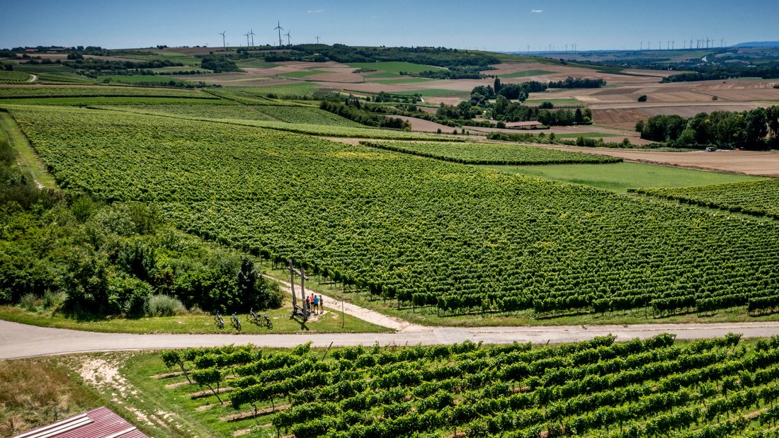 Klein-Winternheimer Geiersh&ouml;lle