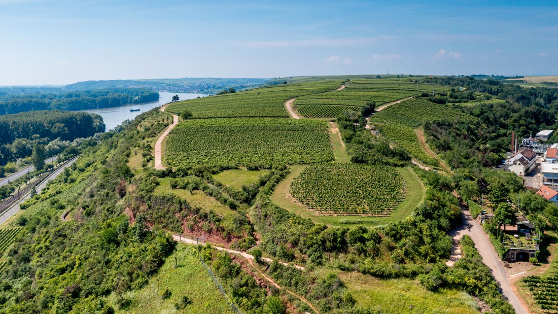 Nackenheimer Rothenberg