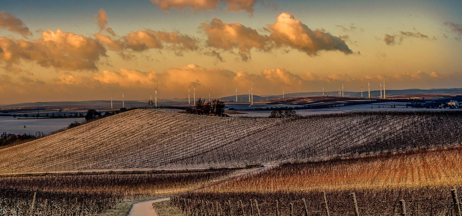 Weinberge im Winter, &copy; Michael Kinzel