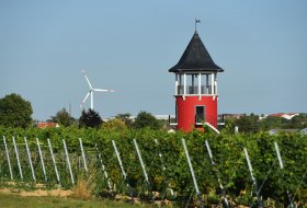 Weinbergsturm © Carsten Costard