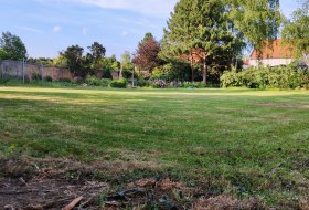Garten Weingut Martin