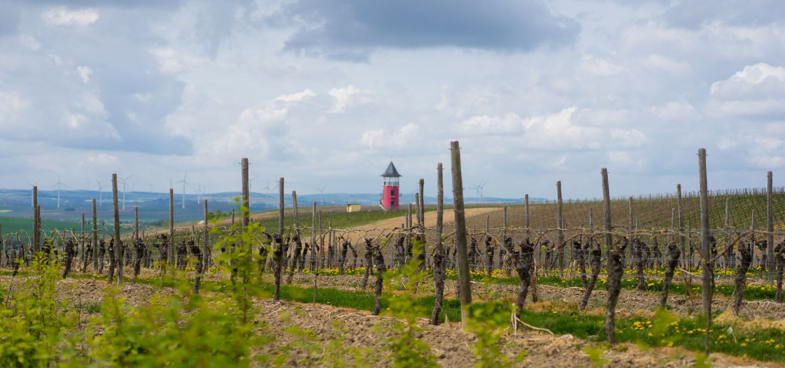 Rheinhessen Mitte
