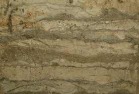 L&ouml;ssand Rigosol