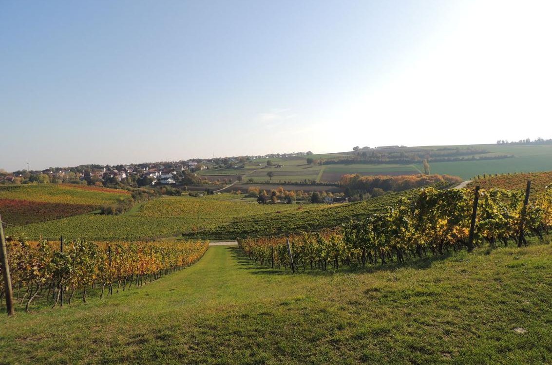 Weingut Seck_Dolgesheim, &copy; Weingut Seck