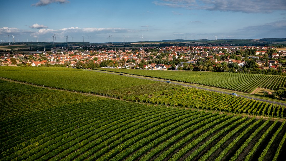 W&ouml;llsteiner &Auml;ffchen