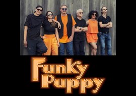 FUNKY PUPPY, &copy; FUNKY PUPPY