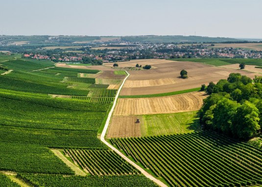 Selztalblick &copy; Dominik Ketz - Rheinhessen Touristik GmbH