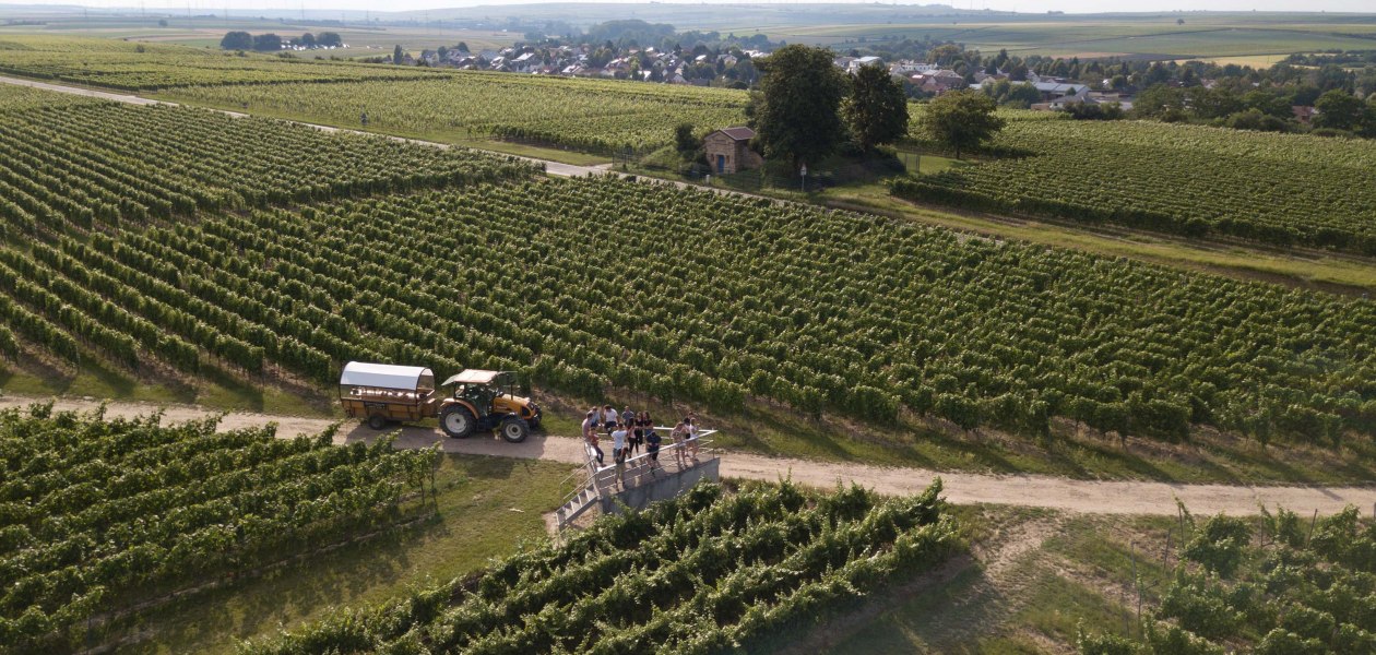 Weingut Grittmann_Weinbergsrundfahrt, &copy; Weingut Grittmann