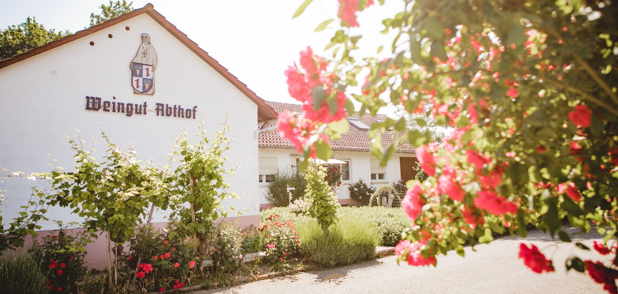 Weingut-Abthof-Juni-2021-DRUCK-203, &copy; Weingut Abthof
