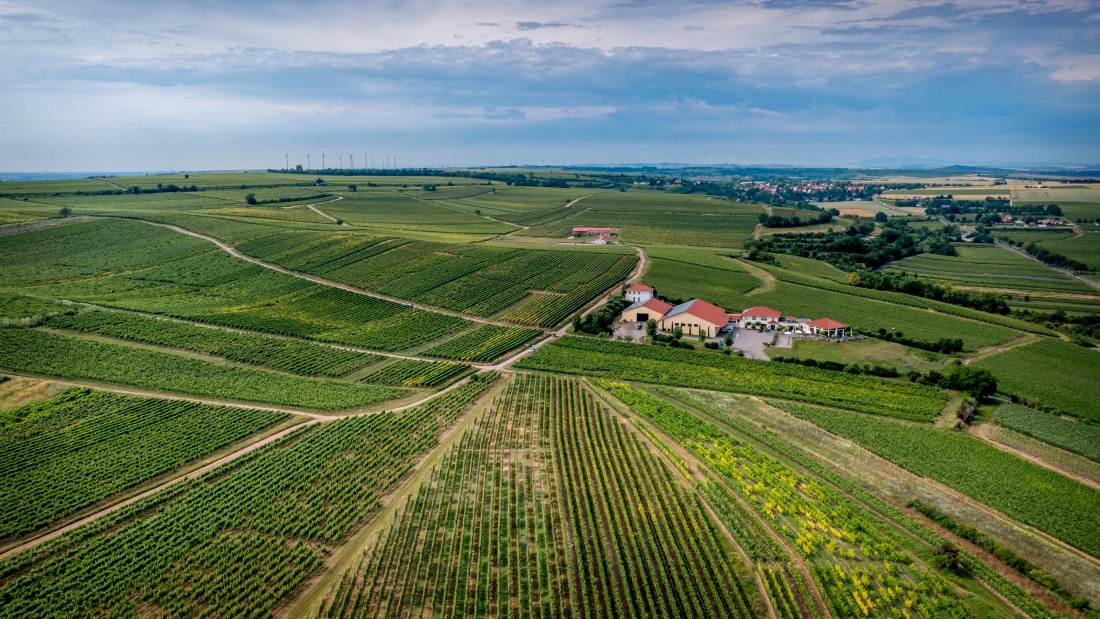 Niersteiner Parterberg-DJI_0235-165, &copy; Torsten Silz