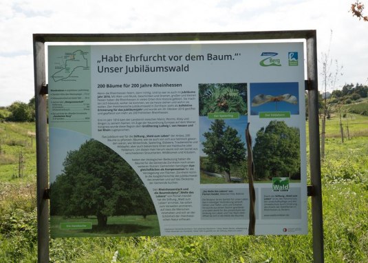 Infotafel "Jubiläumswald" © Dominik Ketz